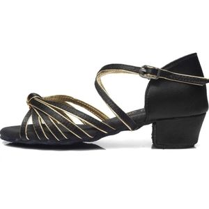 Nwot Women&Girls Satin Latin Dance Shoes Low Heel Ballroom Salsa Tango EU 35